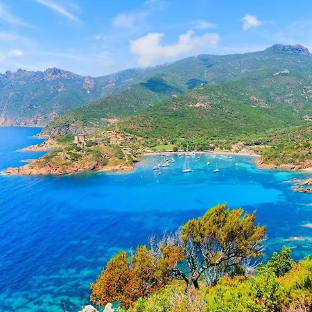 Mobil 6 Personnes Avec Terrasse A - Api-1-52-841 Campsite *