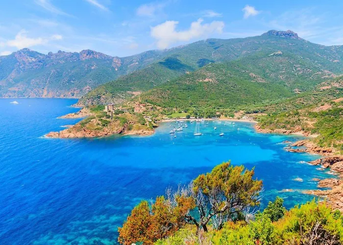 Mobil 6 Personnes Avec Terrasse A - Api-1-52-841 Campsite *